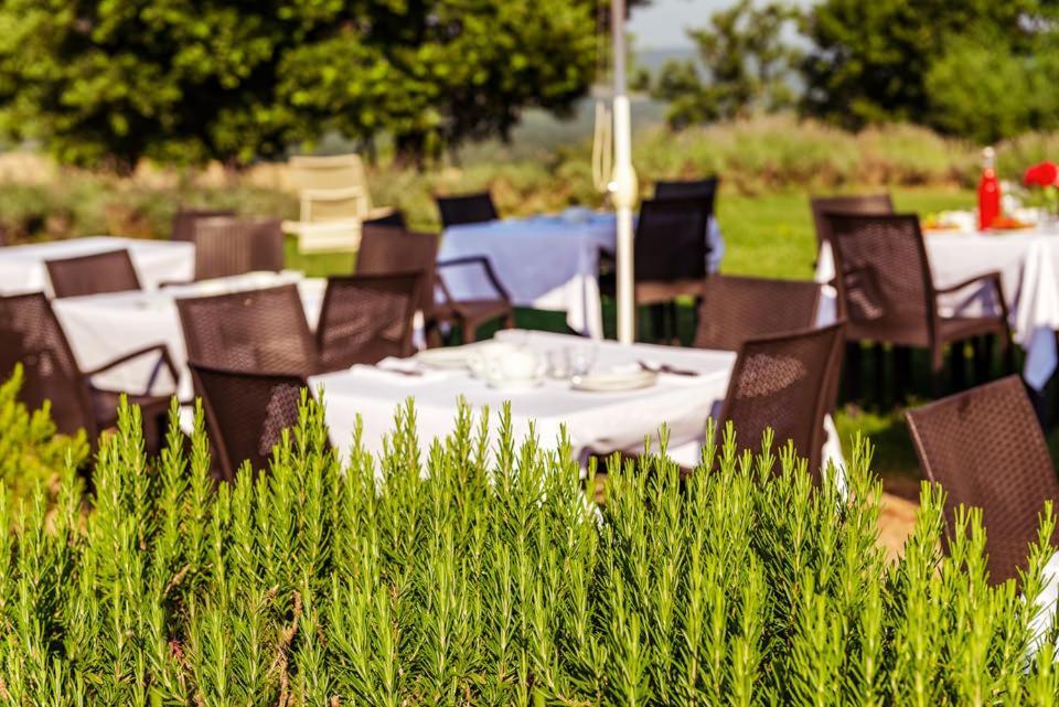 Agriturismo & Cantina Tenuta Casteani Ribolla Exterior foto